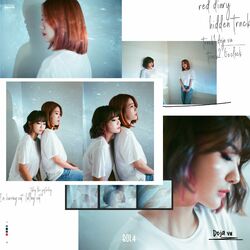 Cover of Red Diary 'Hidden Track'