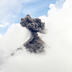 Cover of Explosion