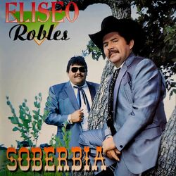 Cover of Soberbia