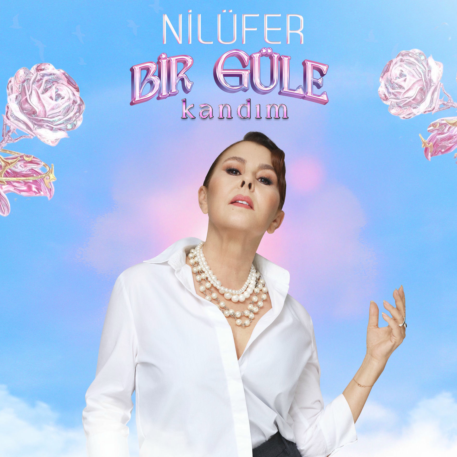 Album cover of Bir Güle Kandım