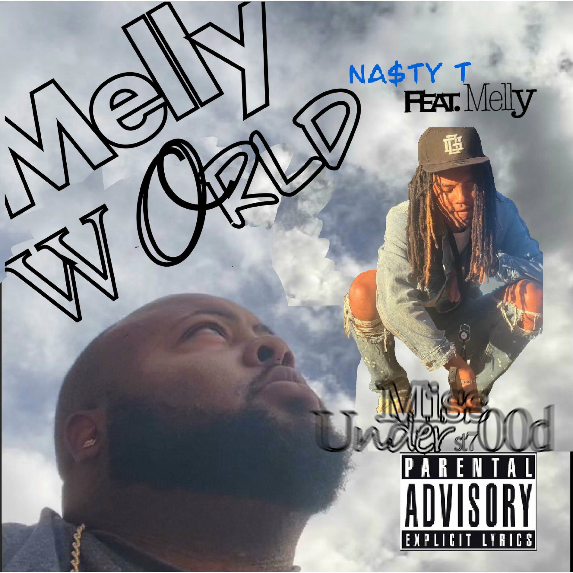 Album cover of Miss Understood (feat. Parte & GriZz)