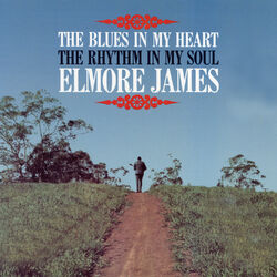Cover of The Blues in My Heart, The Rhythm in My Soul