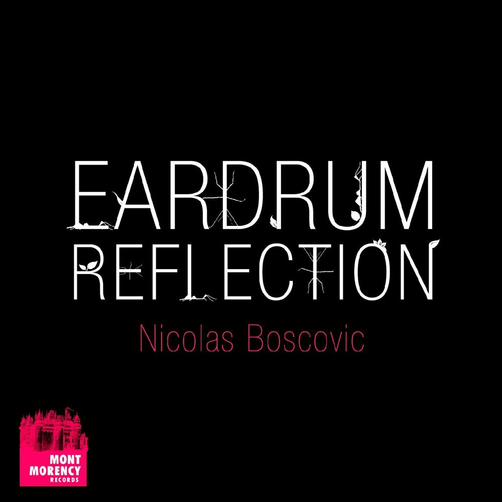Picture of Eardrum Reflection