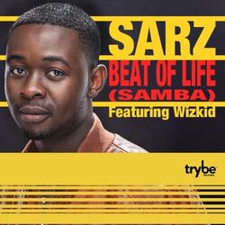 Cover of Beat of Life (feat. Wizkid)