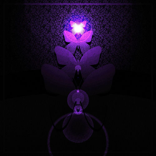 wings (expanded)