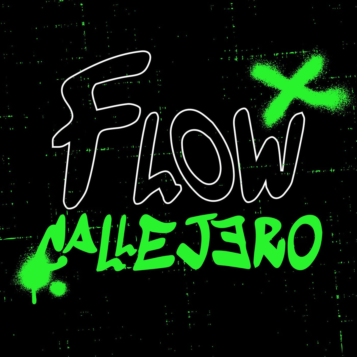 Album cover of Flow Callejero
