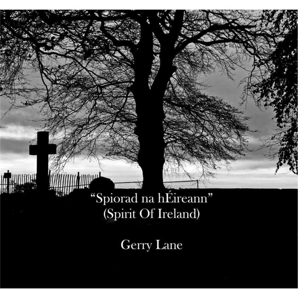 Picture of Spiorad Na Héireann (Spirit of Ireland)