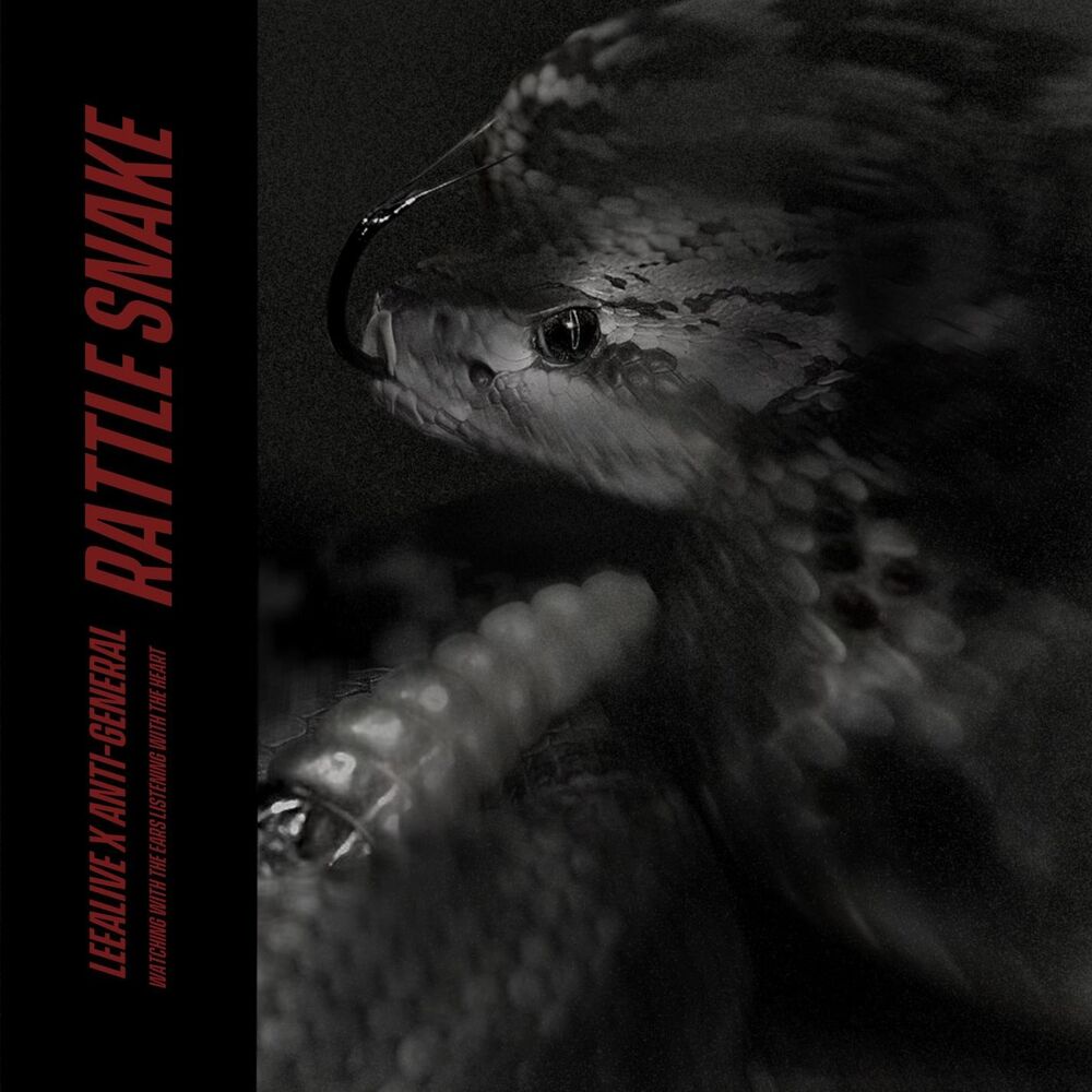 Picture of RATTLE SNAKE