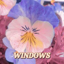 Cover of Windows (Close Once and For All)