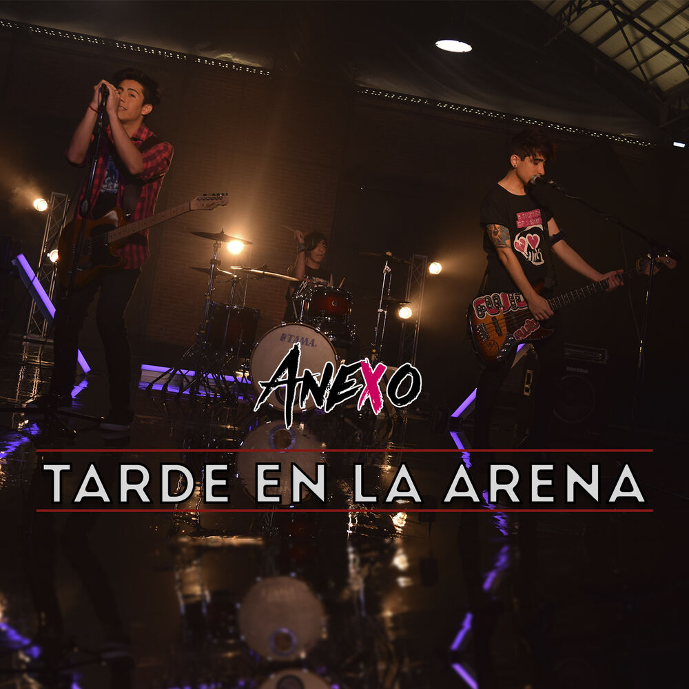 Picture of Tarde en la Arena
