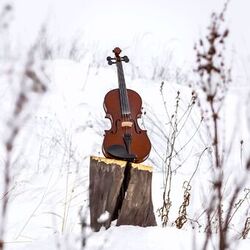 Cover of A Classical January: Mozart, Bach & More