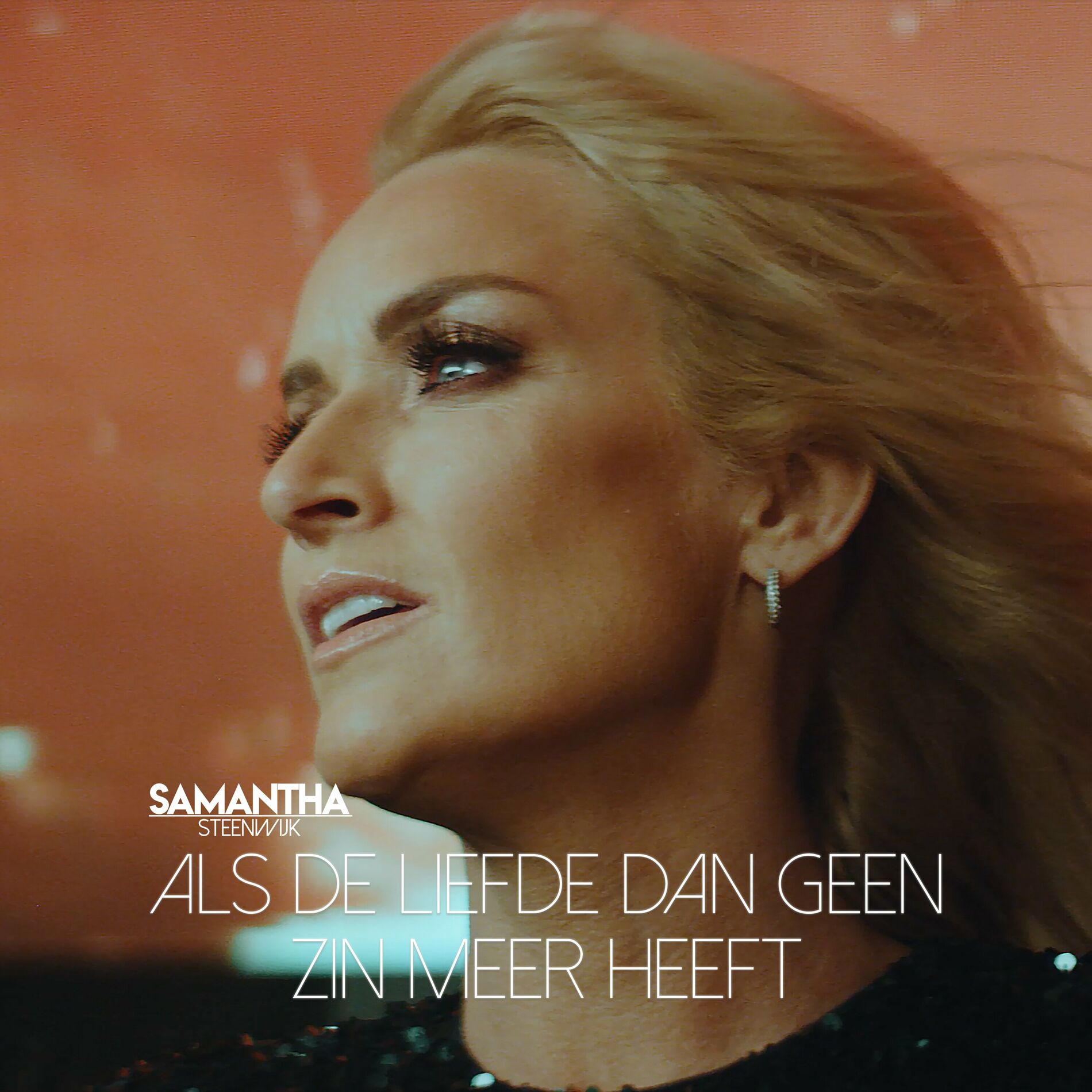 Album cover of Als De Liefde Dan Geen Zin Meer Heeft