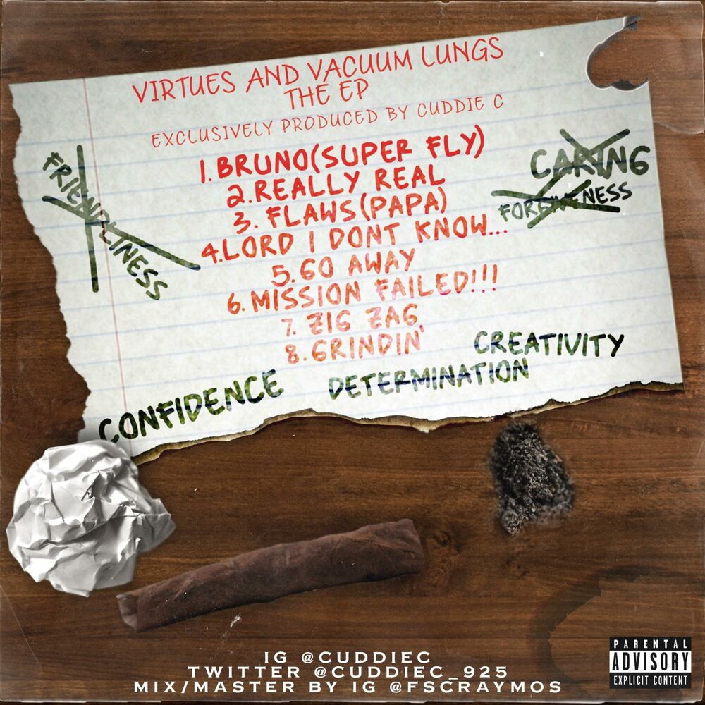 Picture of Virtues And Vacuum Lungs