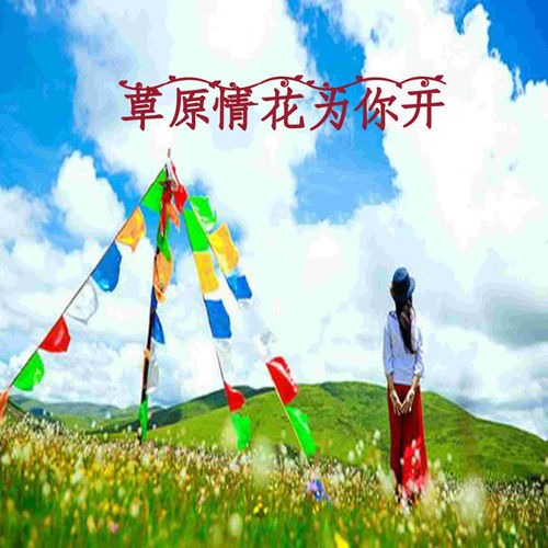 草原情花为你开