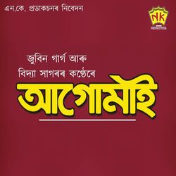 Cover of Anonde