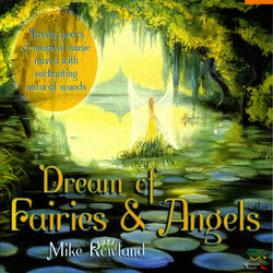 Cover of Dream Of Fairies & Angels