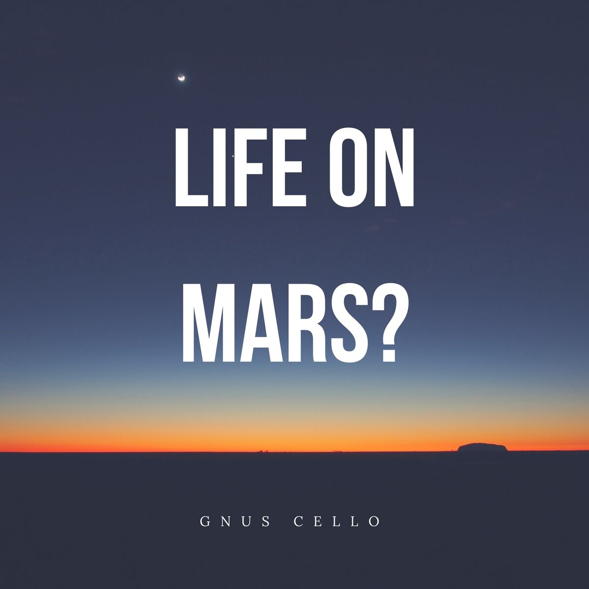 Album cover of Life on Mars?