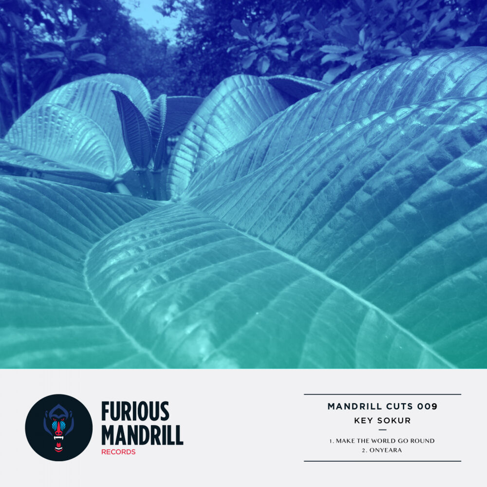 Picture of Mandrill Cuts 009