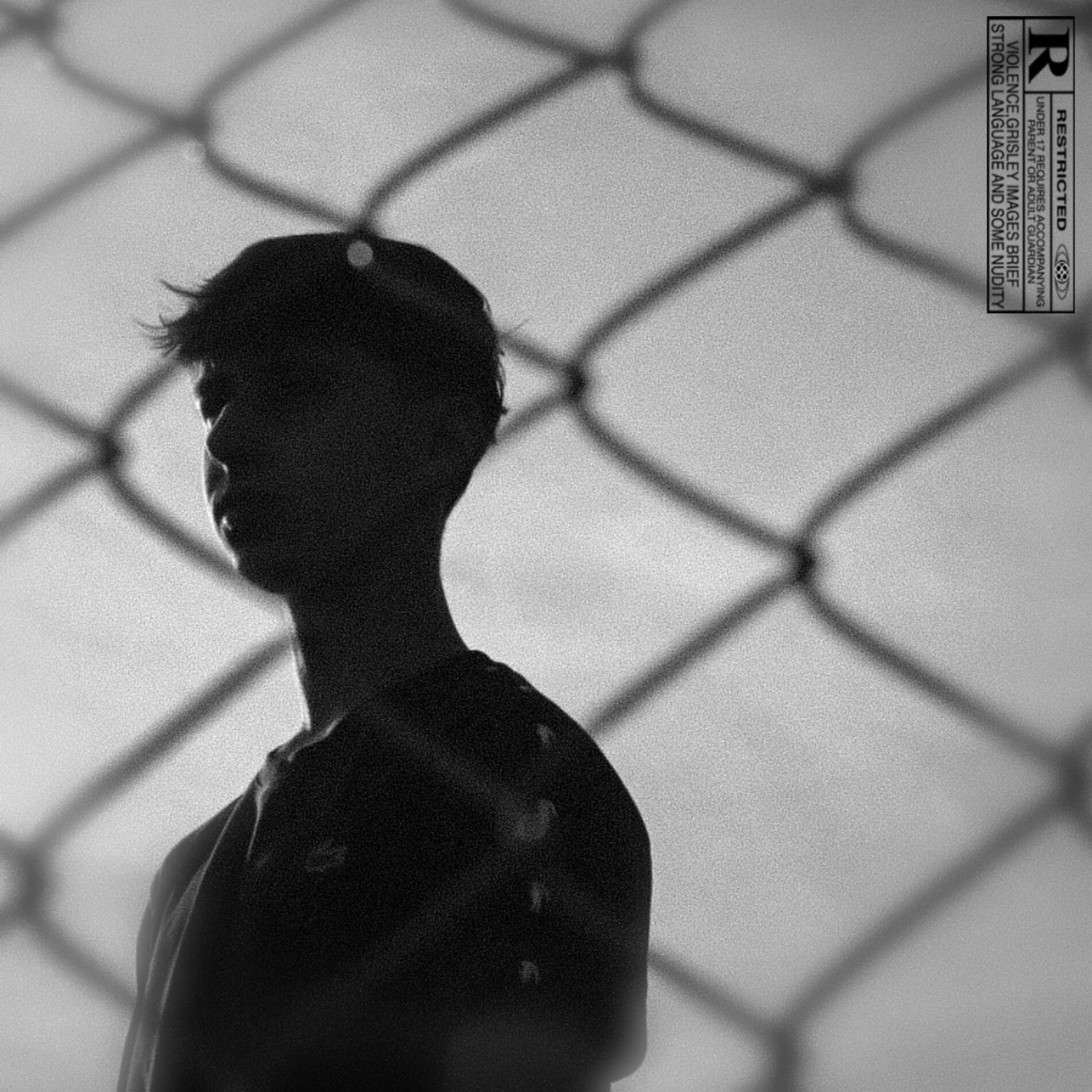 Album cover of Fin