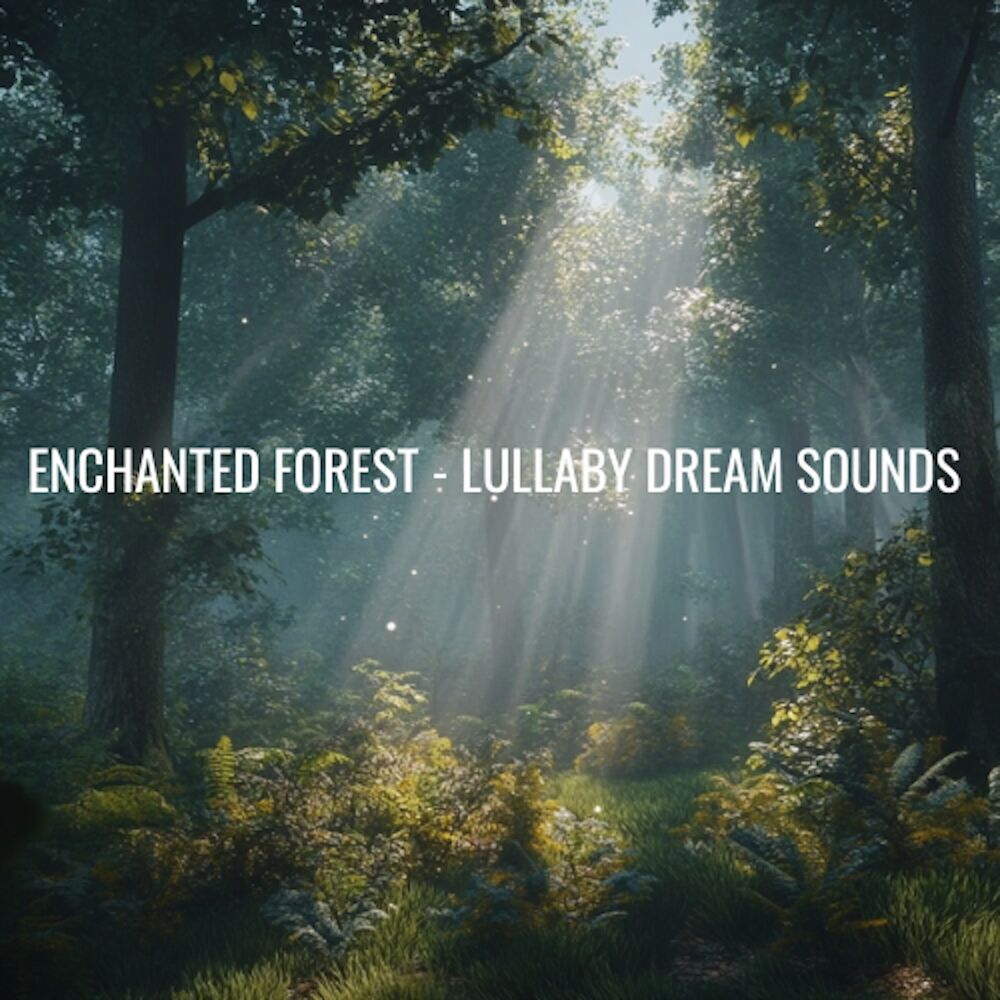 Picture of Enchanted Forest - Lullaby Dream Sounds