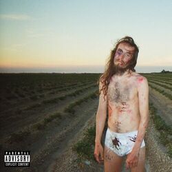 Cover of The South Got Something to Say