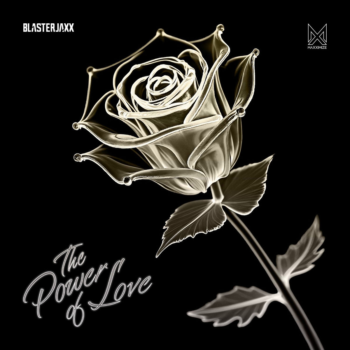 Album cover of The Power Of Love