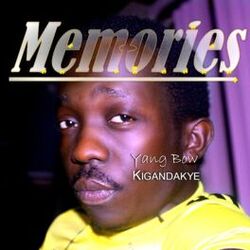 Cover of Memories
