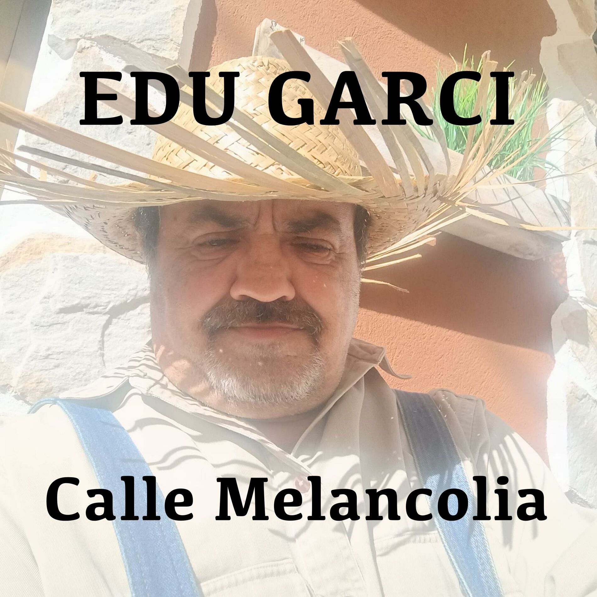 Album cover of Calle melancolia