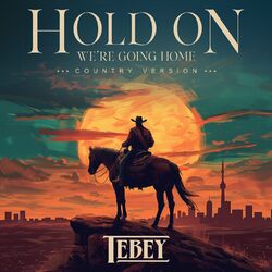 Cover of Hold On, We're Going Home (Country Version)