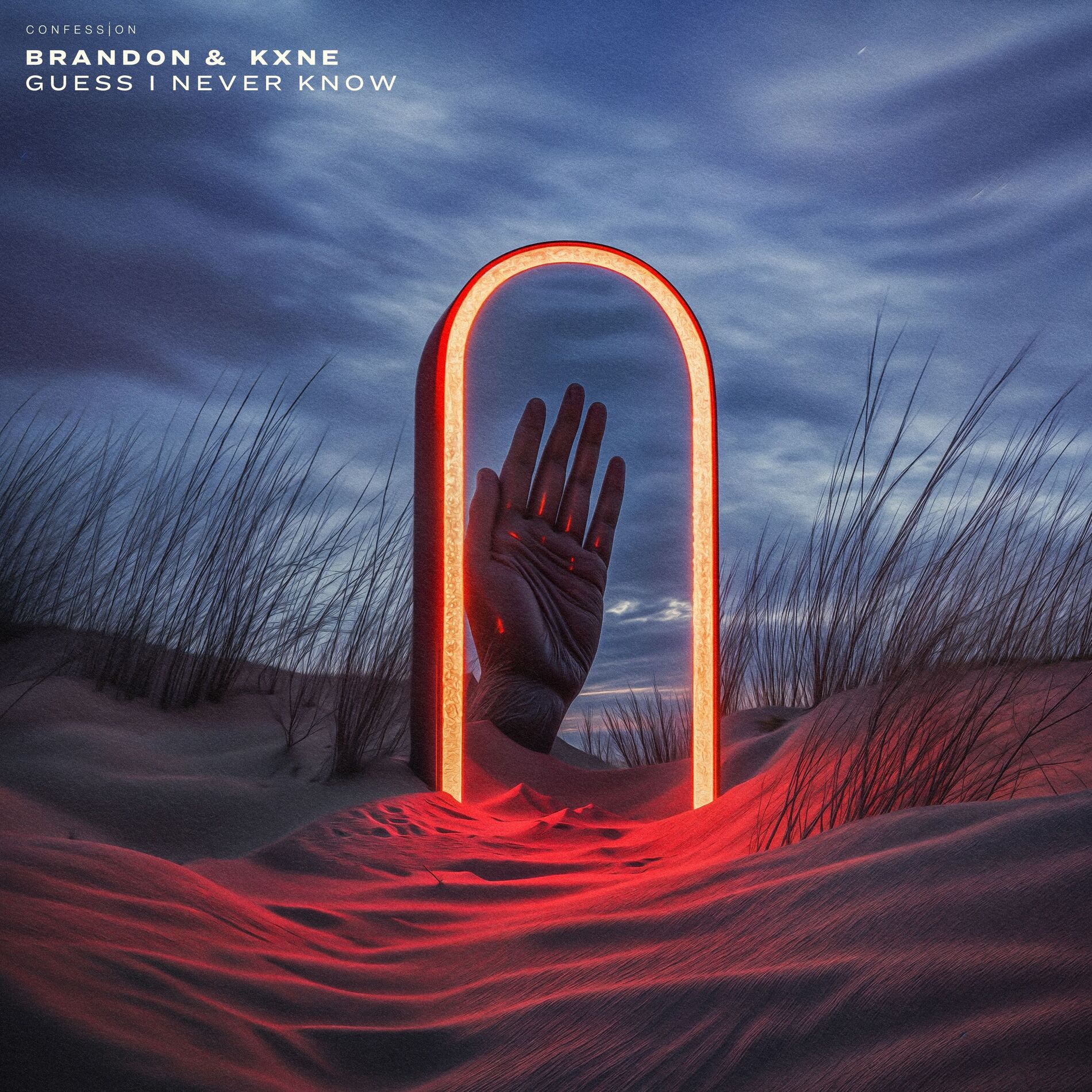 Album cover of Guess I Never Know
