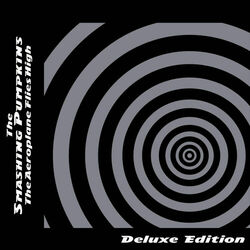 Cover of Aeroplane Flies High (Deluxe Edition)