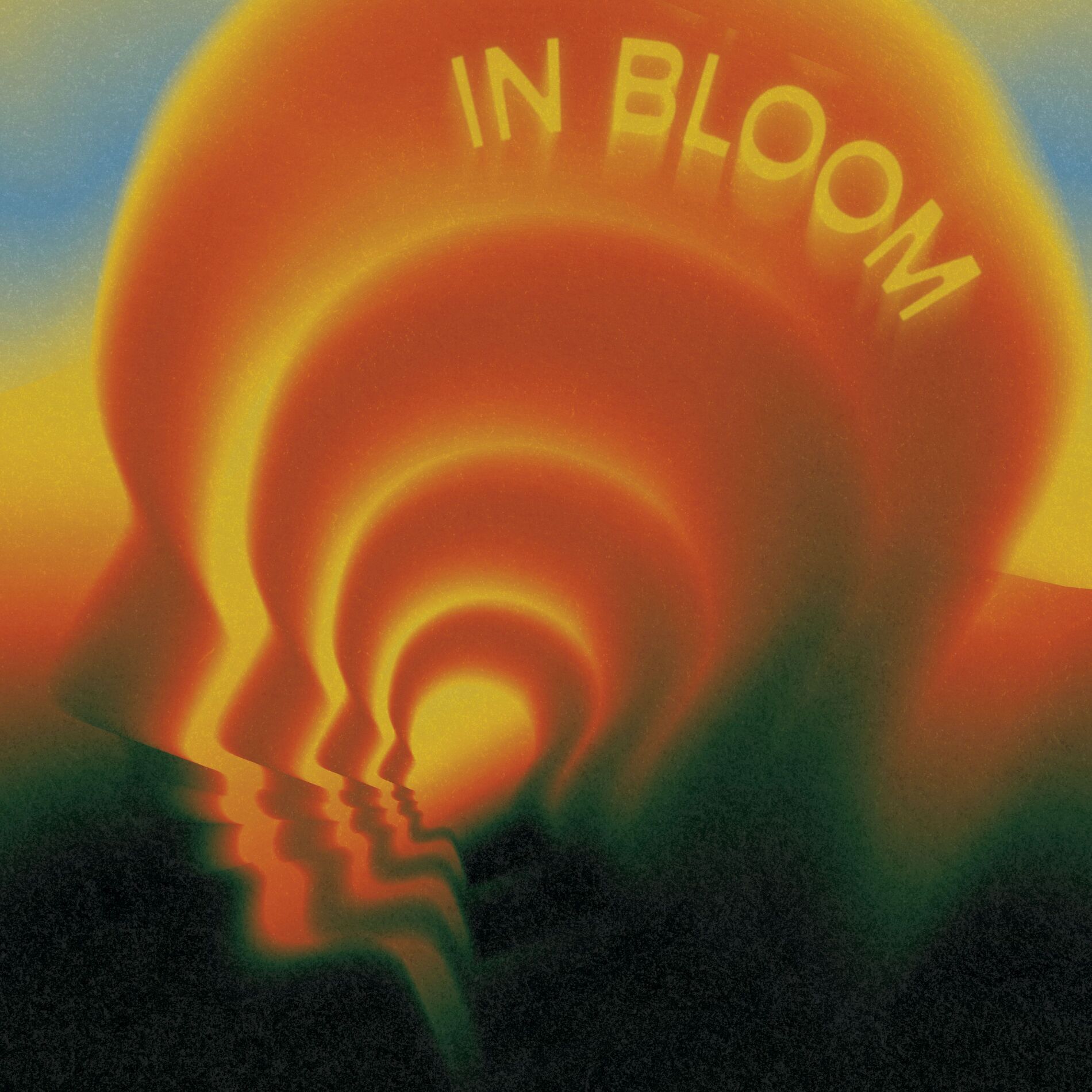 Album cover of In Bloom