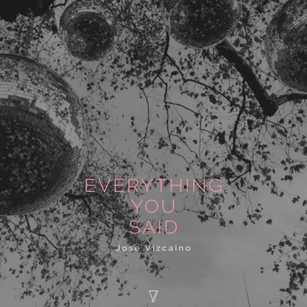 Picture of Everything You Said