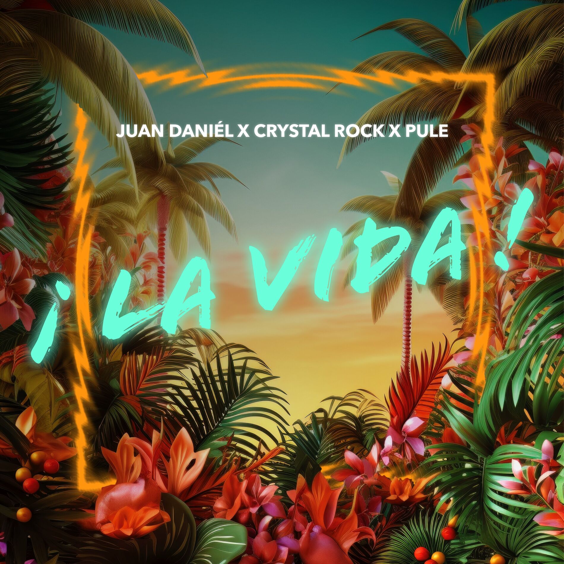 Album cover of La Vida