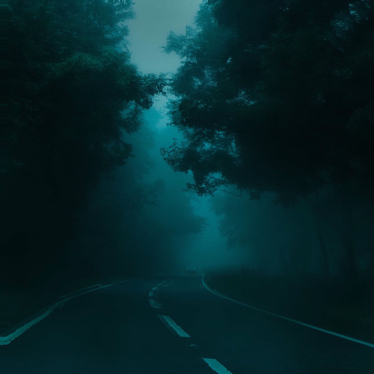 Album cover of a dream about you