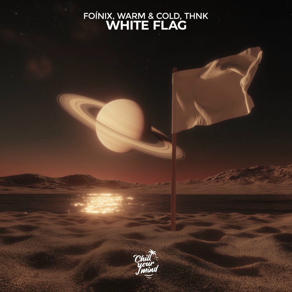 Album cover of White Flag