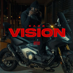 Vision