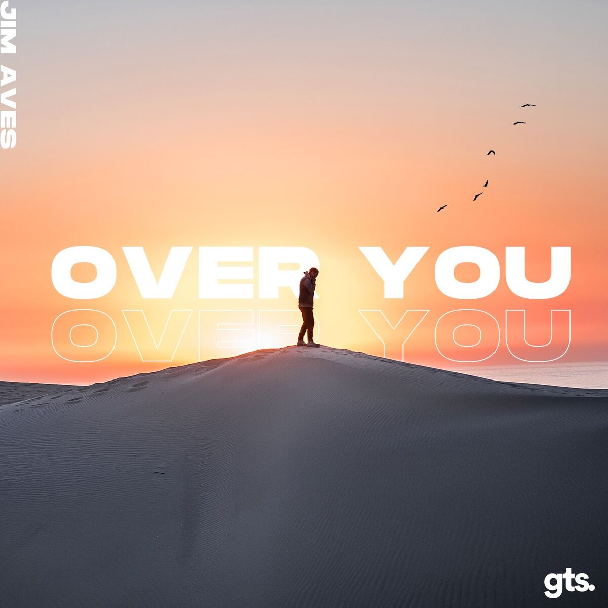 Album cover of Over You