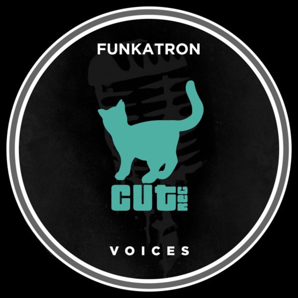 Picture of Voices