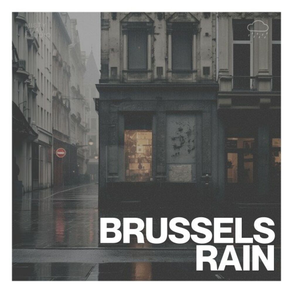Picture of Brussels Rain