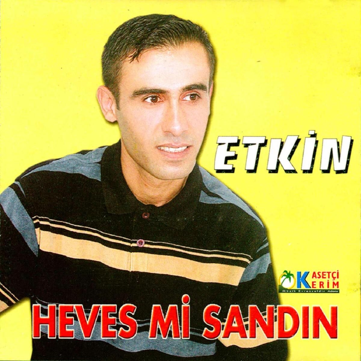 Album cover of Herşeyimsin