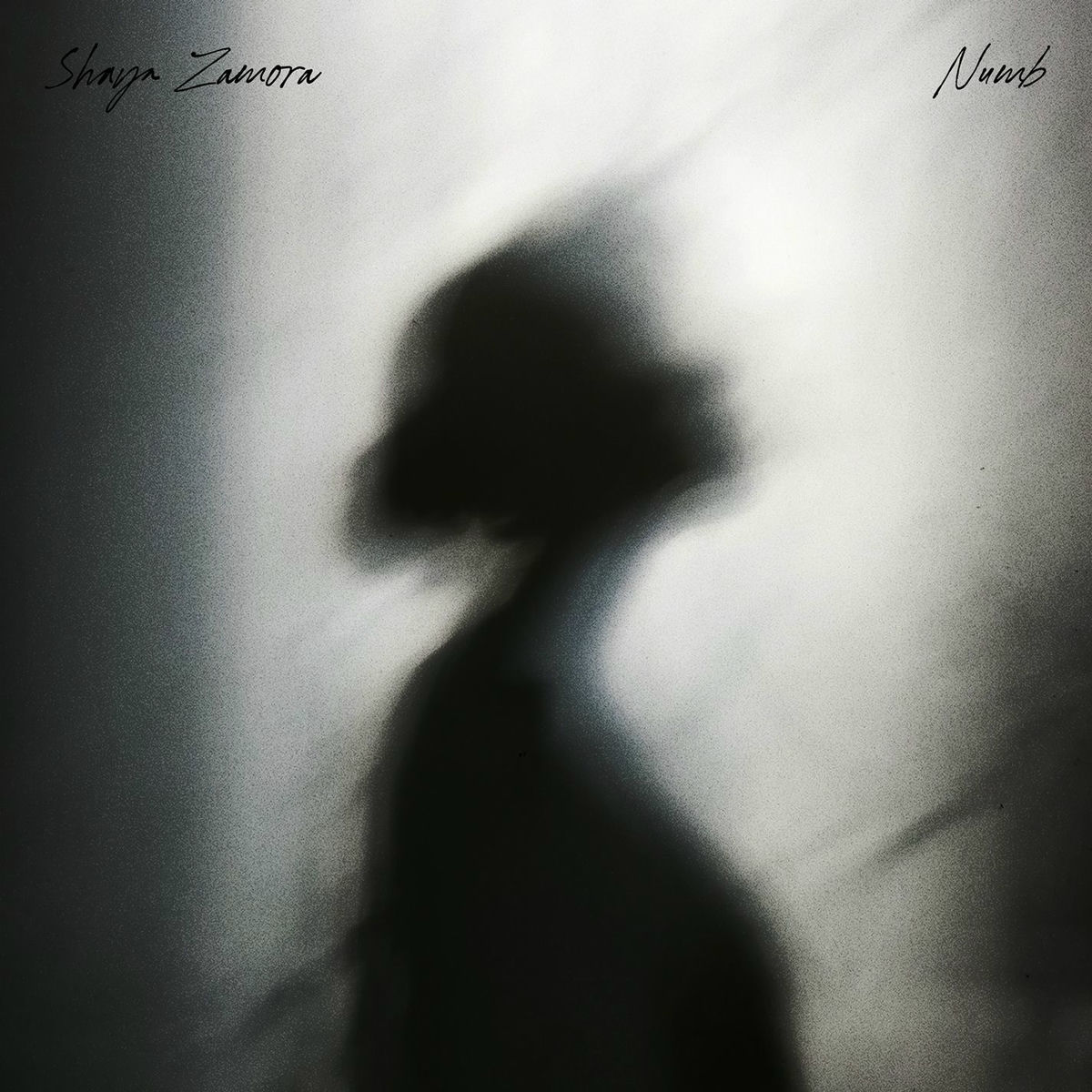 Album cover of Numb