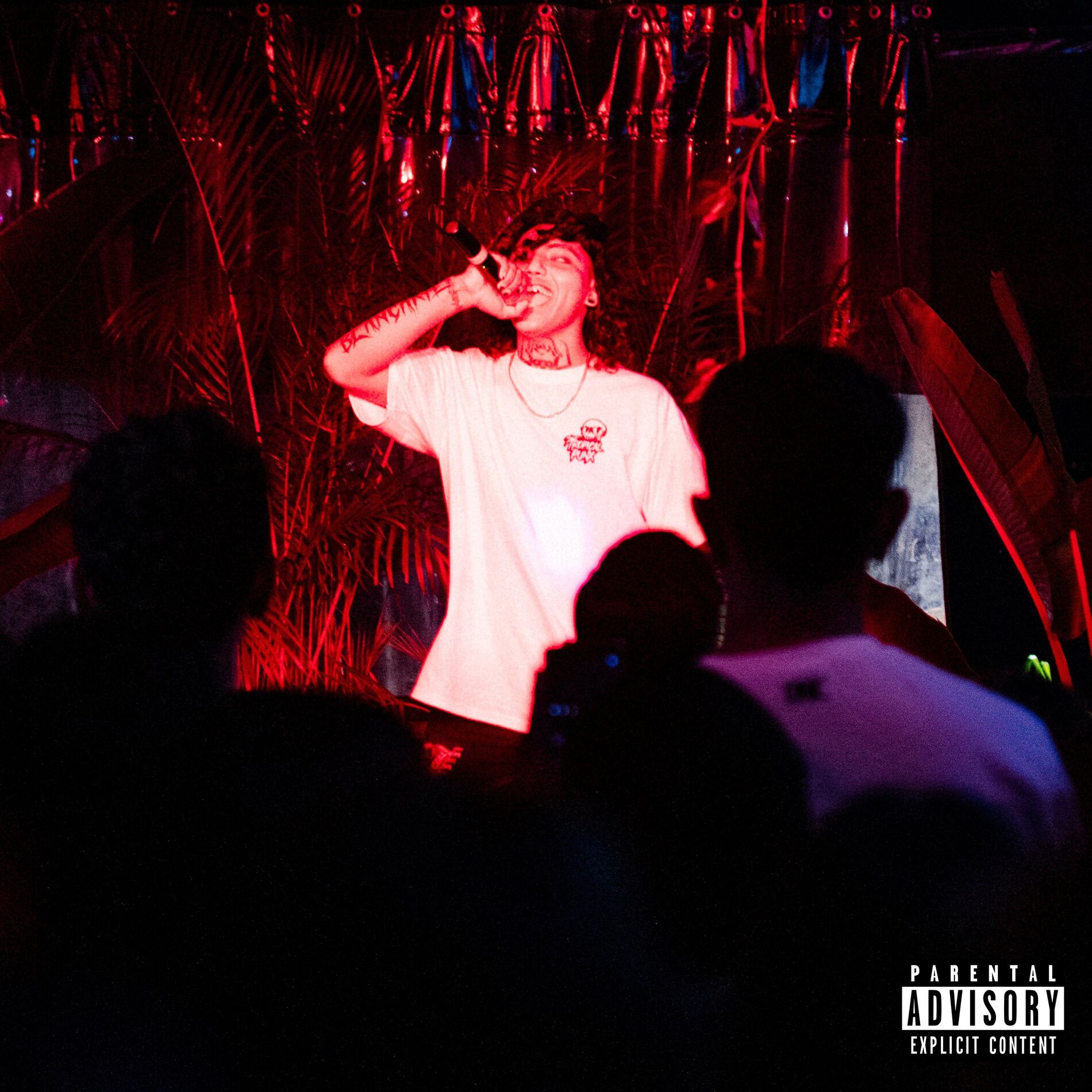 Album cover of Young Punk