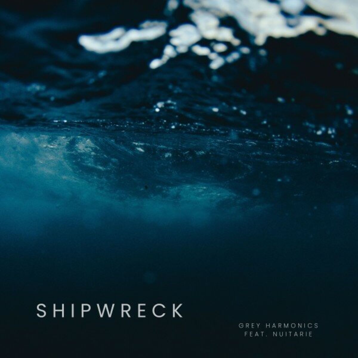 Album cover of Shipwreck