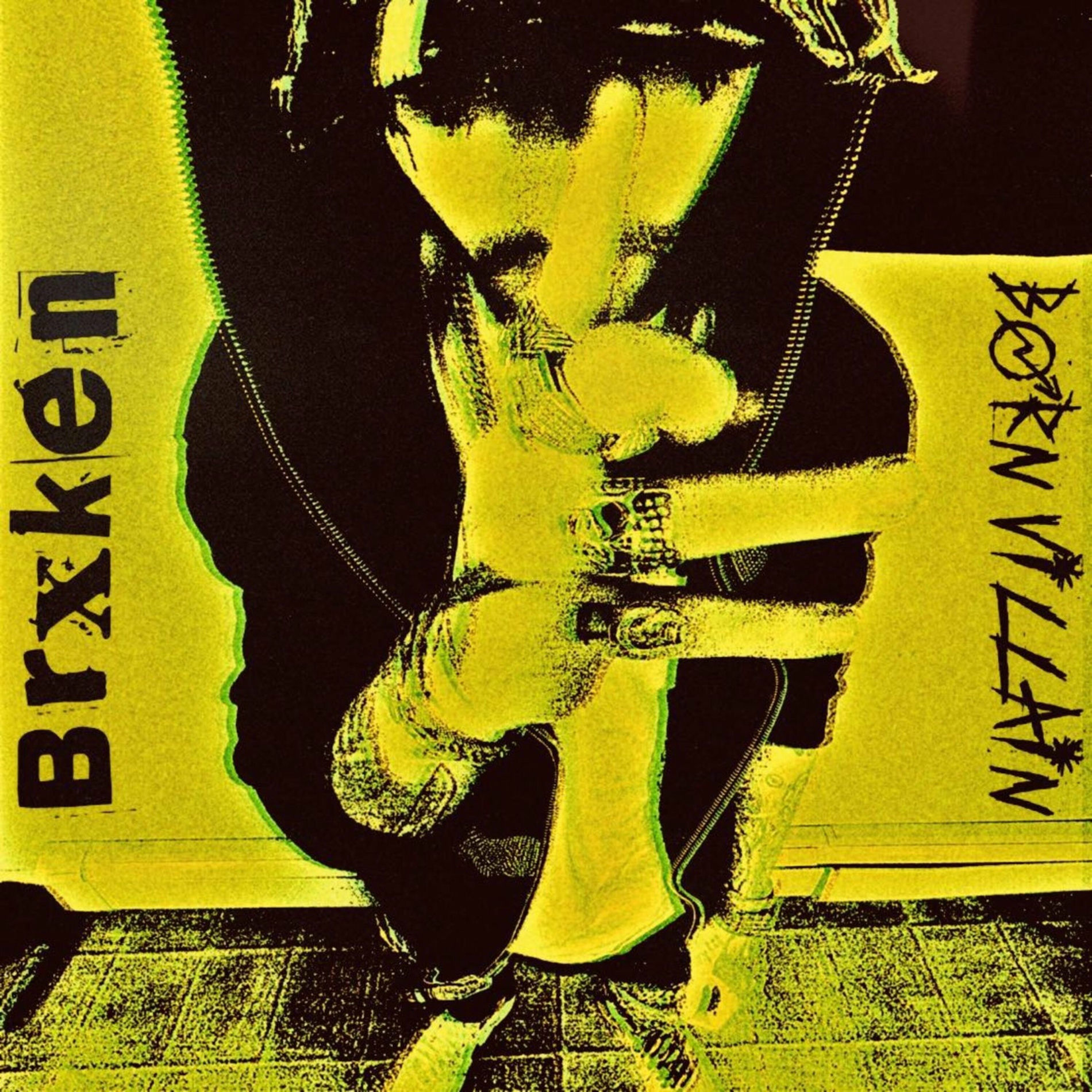 Album cover of Born Villain