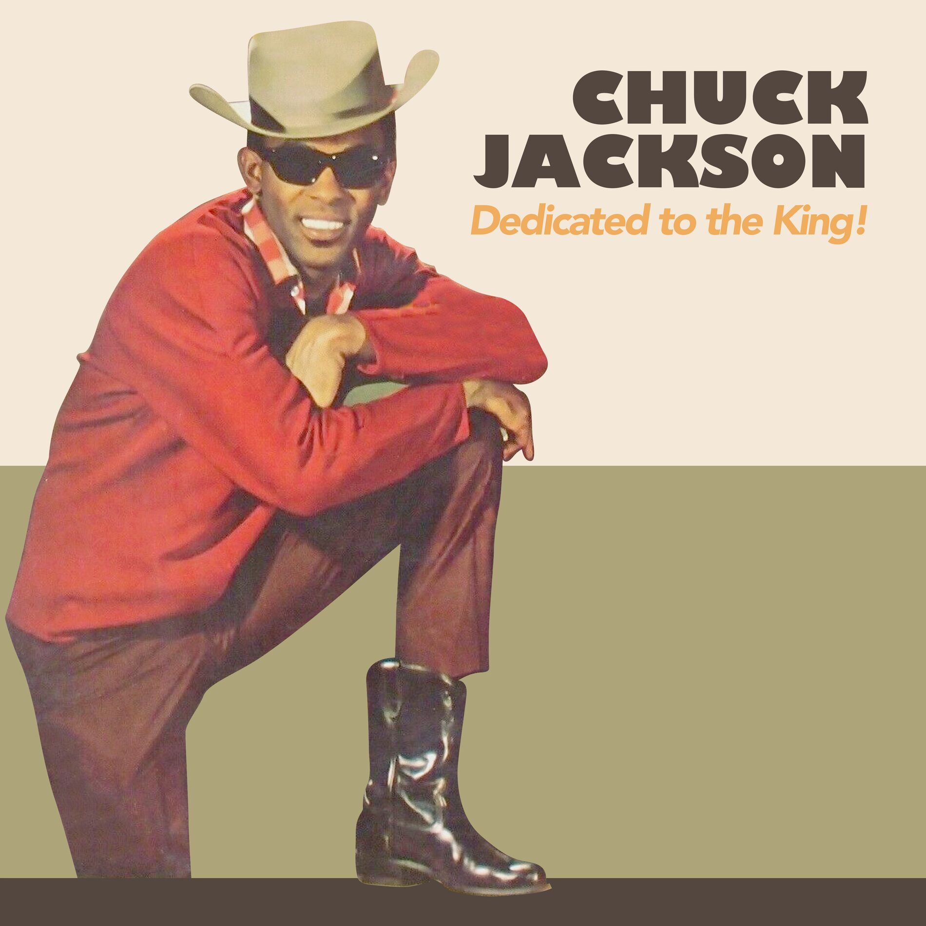 Album cover of Dedicated to The King!