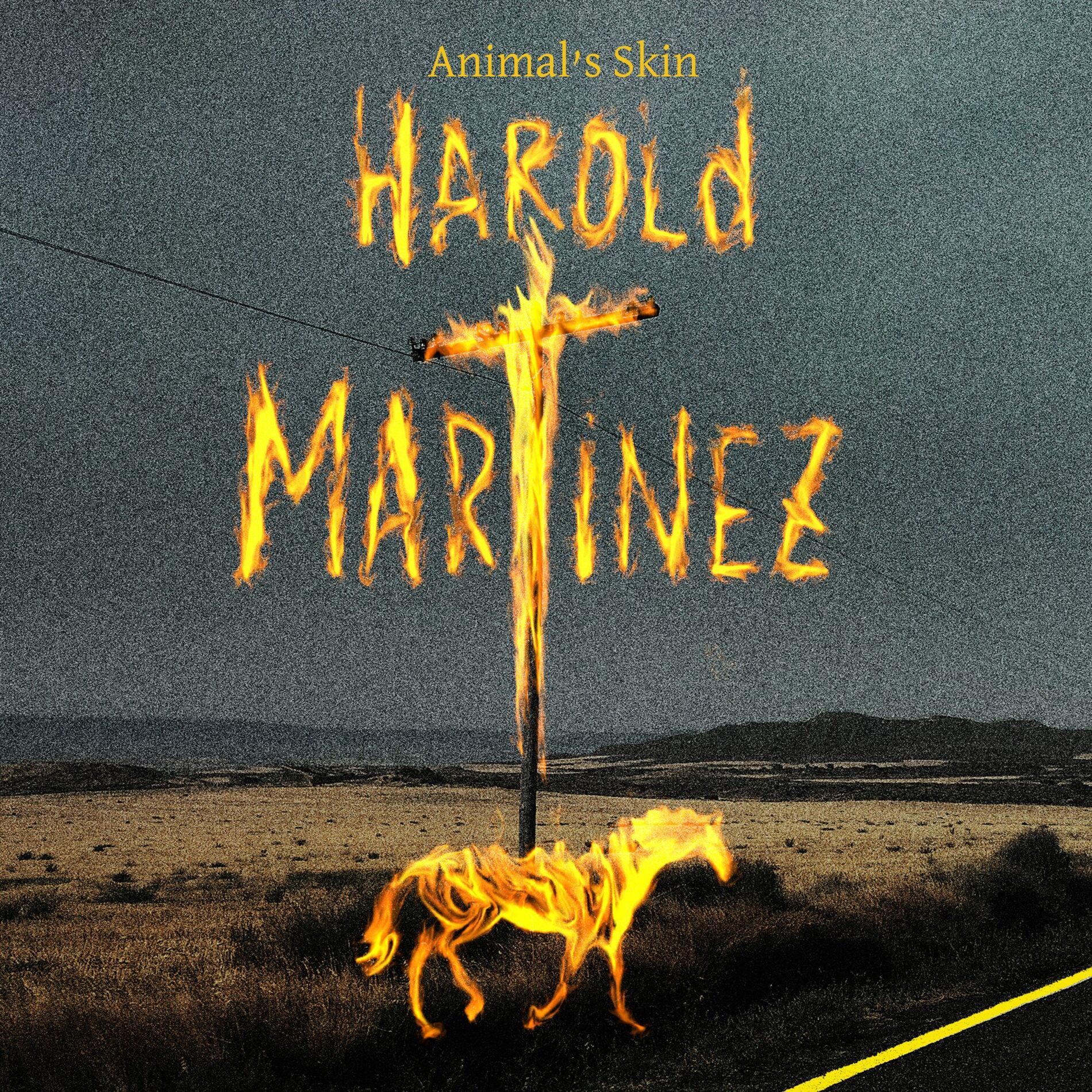 Album cover of Animal's Skin