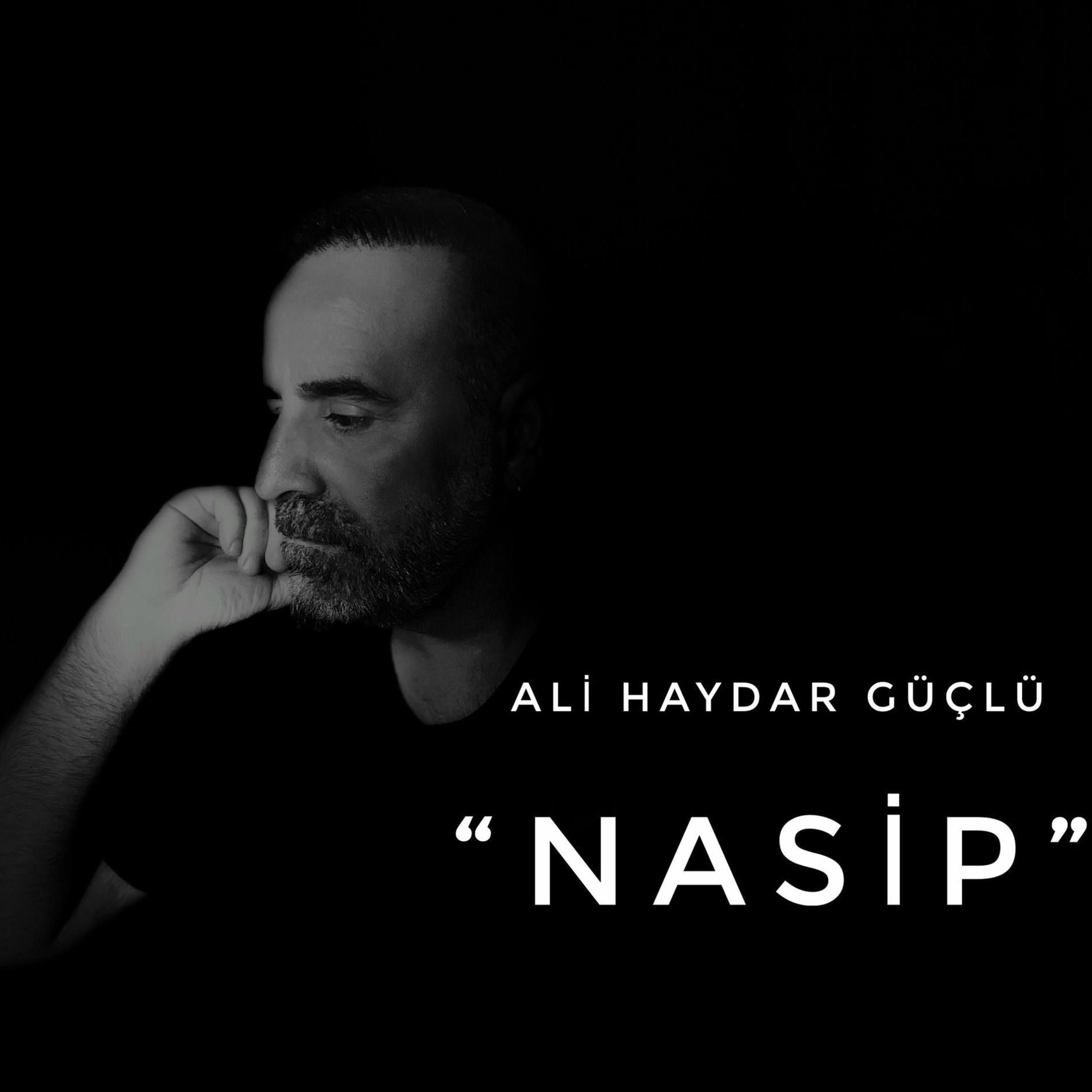 Album cover of Nasip