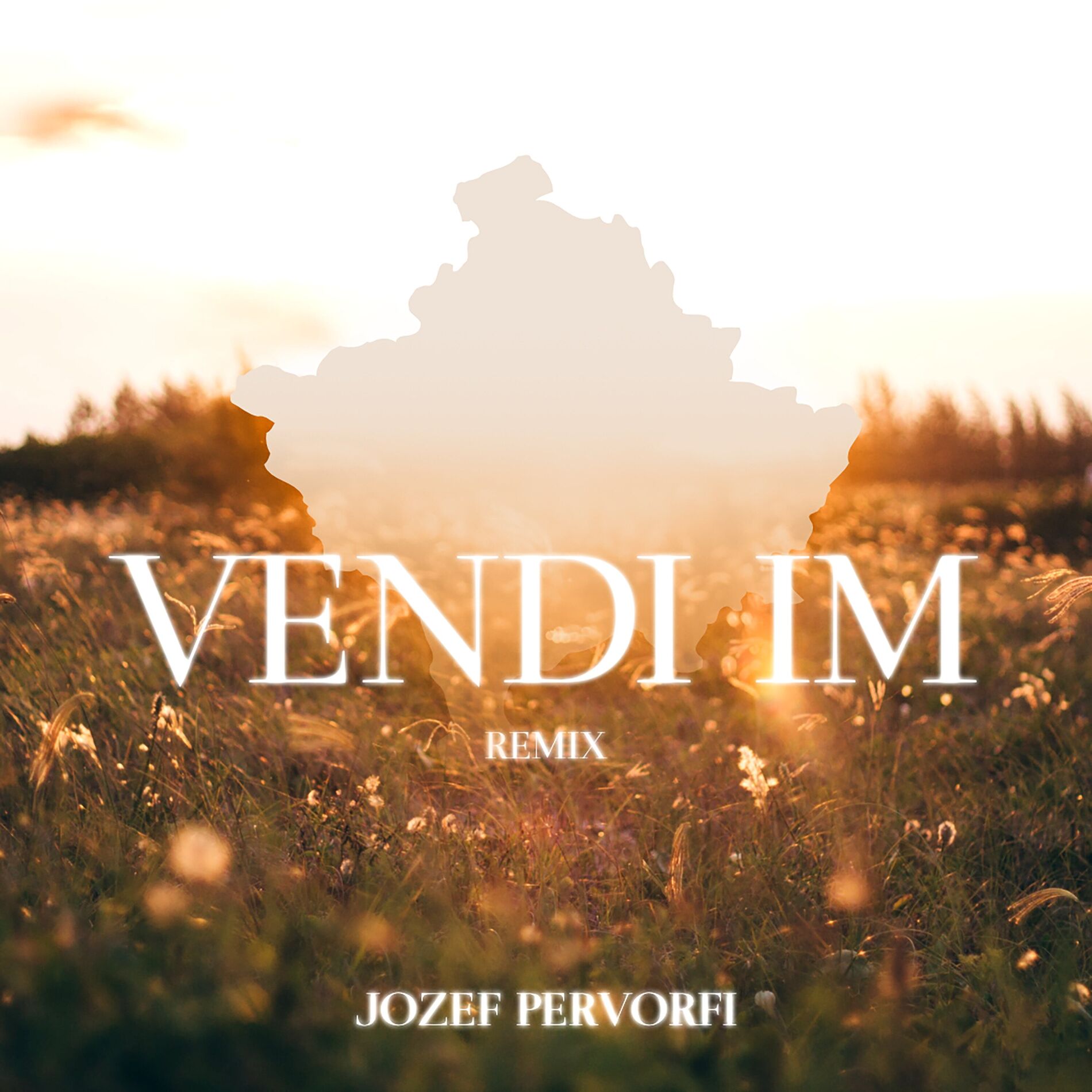Album cover of VENDI IM