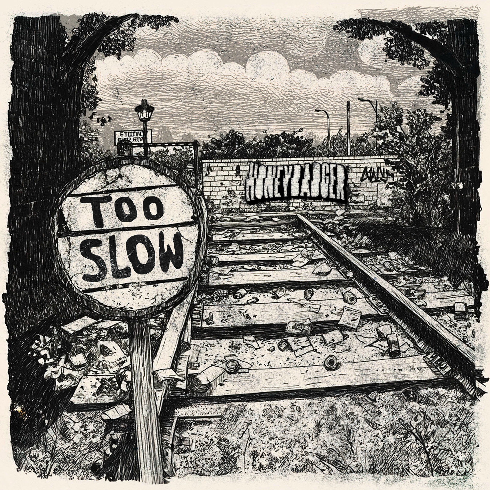Album cover of Too Slow